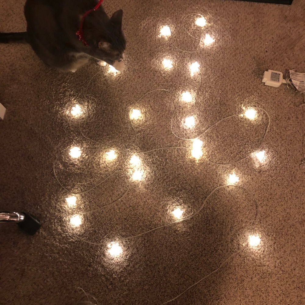 Flower string lights